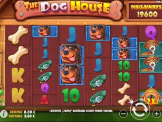 The Dog House Megaways Slot Oyna 2025